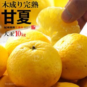 木成り 完熟 甘夏 みかん 2-3L (約10kg) 三重県産 あまなつ 甘夏 みかん 夏みかん 大玉 甘い 秀品 高糖度 紀州 熊野 食品 フルーツ 果物 みかん 甘なつ 御供え