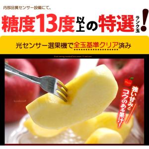 プレミアム 早生ふじりんご 弘前ふじ (約3....の詳細画像1