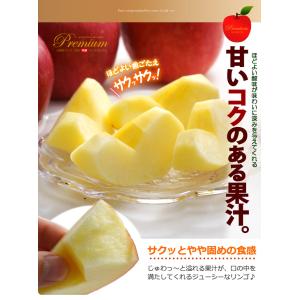 プレミアム 早生ふじりんご 弘前ふじ (約3....の詳細画像5
