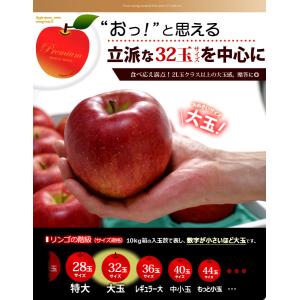 シナノスイート (約3kg) 長野産 秀品 贈...の詳細画像5