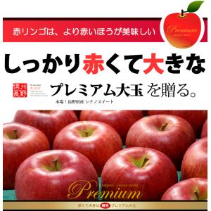 シナノスイート (約3kg) 長野産 秀品 贈...の詳細画像1