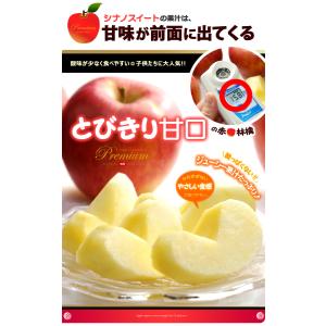 シナノスイート (約3kg) 長野産 秀品 贈...の詳細画像2