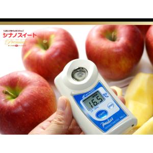 シナノスイート (約3kg) 長野産 秀品 贈...の詳細画像3