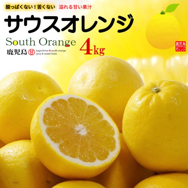サウスオレンジ 2L-3L (約4kg) 鹿児島産 和製グレープフルーツ オレンジ 河内晩柑 文旦 ...