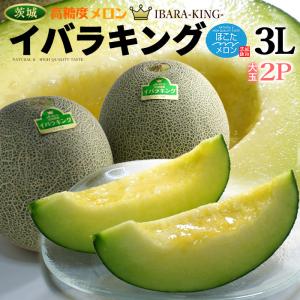 イバラキング 3L×2玉 (約2.5kg) 茨城産 秀品 茨城王 メロン めろん 大玉 ほこた 鉾田 鉾田メロン いばらきんぐ 高糖度 甘い 青肉 メロン 父の日 ギフト 贈答｜ookiniya