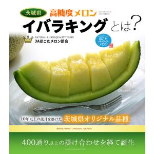 イバラキング 3L×2玉 (約2.5kg) 茨...の詳細画像1