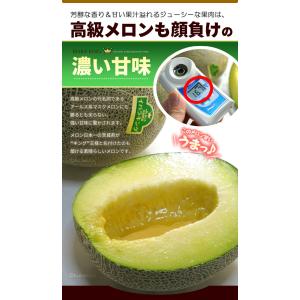 イバラキング 3L×2玉 (約2.5kg) 茨...の詳細画像4