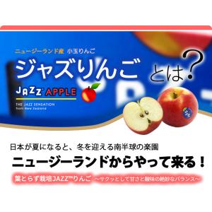 jazz りんご (約4.5kg) ニュージー...の詳細画像3