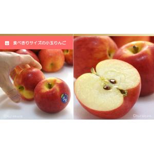 jazz りんご (約4.5kg) ニュージー...の詳細画像5
