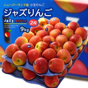 jazz りんご (約9kg) ニュージーランド産 ジャズ りんご リンゴ 林檎 jazz apple 食品 フルーツ 果物 輸入 高糖度 甘い ジャズりんご 小玉 送料無料｜まいどおおきに屋クラクラ