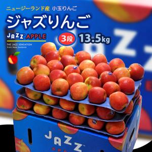 jazz りんご (約13.5kg) ニュージーランド産 ジャズ りんご リンゴ 林檎 jazz apple 食品 フルーツ 果物 輸入 高糖度 甘い ジャズりんご 小玉