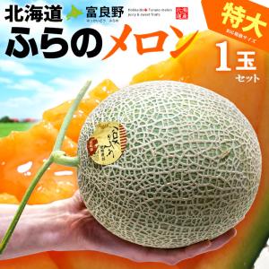 富良野メロン XL×1玉 (約2kg) 北海道産 秀品 赤肉 ふらのめろん 富良野めろん ふらのメロン 北海道 富良野 ふらの メロン めろん melon 大玉 ギフト お中元｜ookiniya