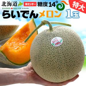 優品 「品種：ティアラ」 北海道アサヒメロン4玉 8キロ 001-raidentia8kg01.jpg