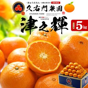 完熟 みかん 的兵 有田 期間数量限定 5kg S サイズ 送料無料 幻の
