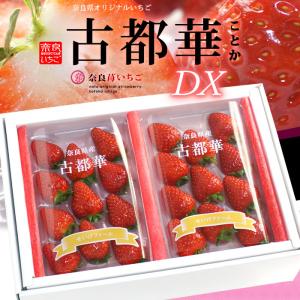 いちご 古都華 奈良産 Lサイズ×2パック : 果物専門店 フルーツ いちご 古都華 奈良産 Lサイズ×2パック : 果物専門店 フルーツ