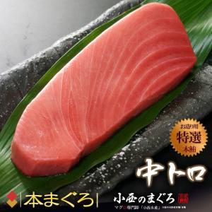 本マグロ 中トロ (約200g×2柵) 地中海産 蓄養鮪 贈答用...