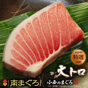 マグロ マグロの部位 大トロ 魚介類 海産物 食品 通販 Yahoo ショッピング