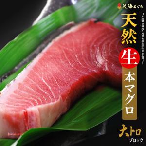 6月限定 天然近海生本マグロ 大トロブロック(約500g)国産