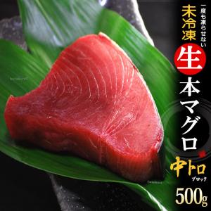 生本マグロ 中トロ ブロック (約500g) 国産 (主に 鹿児島産