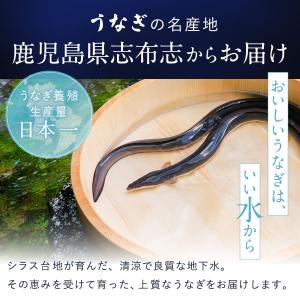 お中元 暑中お見舞い うなぎ 鰻 蒲焼き2尾 ...の詳細画像2