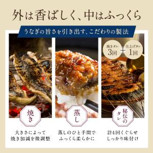 お中元 暑中お見舞い うなぎ 鰻 蒲焼き2尾 ...の詳細画像4