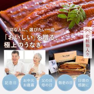 お中元 暑中お見舞い うなぎ 鰻 蒲焼き2尾 ...の詳細画像5