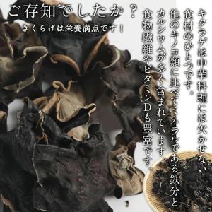 黒木耳 100g |【送料無料】無添加・無農薬...の詳細画像1