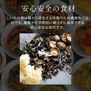 黒木耳 100g |【送料無料】無添加・無農薬...の詳細画像4