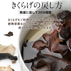 黒木耳 100g |【送料無料】無添加・無農薬...の詳細画像5