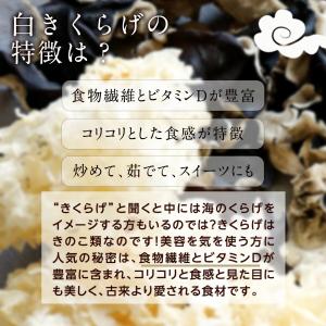 白きくらげ 1kg |【送料無料】【大容量】白...の詳細画像2