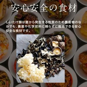 白きくらげ 1kg |【送料無料】【大容量】白...の詳細画像4