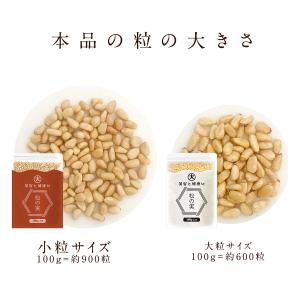 松の実 500g | お得品 無添加 無農薬 ...の詳細画像4