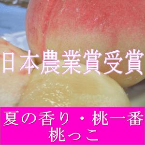 山梨県産 高級桃 日本農業賞受賞 夏の香り 桃一番 3キロ詰 極上大玉8個〜10個