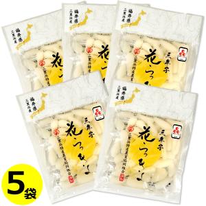 福井県産 花らっきょう ( 三年子 ) 70g×5袋 送料無料