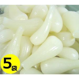 鳥取県福部産 らっきょう 甘酢漬け 80g×5...の詳細画像1