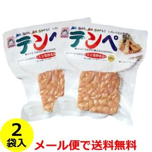ヤマク テンペ  100g×2袋   無塩 発酵 健康食品