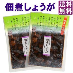 佃煮しょうが 110g ×2袋 送料無料 メール...の商品画像