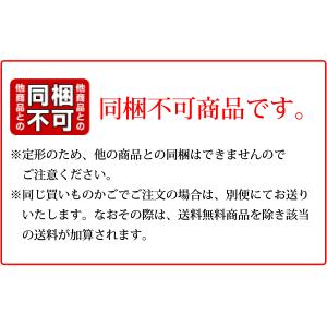 甘酒 あま酒 しょうが入り 1L×6本 送料無...の詳細画像1