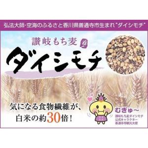 讃岐 もち麦 ダイシモチ 500g 香川県産 ...の詳細画像3