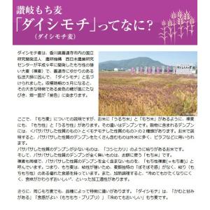 讃岐 もち麦 ダイシモチ 500g 香川県産 ...の詳細画像4