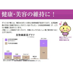 讃岐 もち麦 ダイシモチ 500g 香川県産 ...の詳細画像5