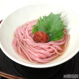 梅うどん 半生 早ゆで つゆ付 2人前 ( 香...の詳細画像1