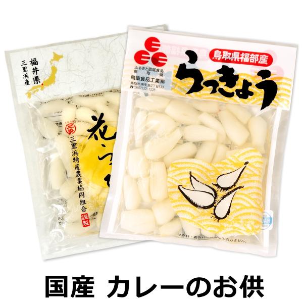 国産 らっきょう 2種セット( 福井県産 三年子 花らっきょ 鳥取県福部産らっきょう )  メール便...