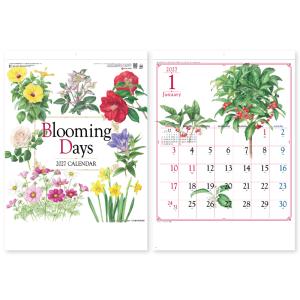 韓国語 絵本『サイコだけど大丈夫 特別童話 5冊セット』著：チョヨン