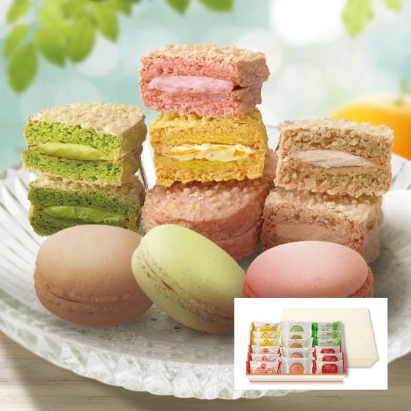 大麦マカロン＆ダクワーズセットB 7種17個入（通常箱）【おおむぎ工房】小麦不使用 グルテンフリー ...