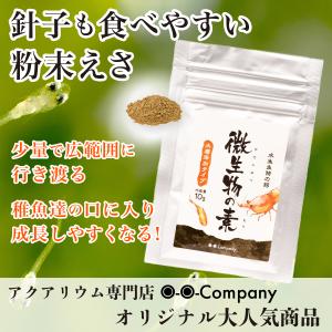 微生物の素 10g メダカ シュリンプ 針子 ...の詳細画像1