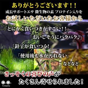 微生物の素 メダカ 稚魚 針子 成長サポート ...の詳細画像5