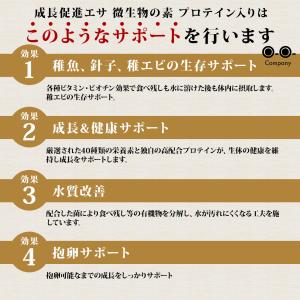 微生物の素 メダカ 稚魚 針子 成長サポート ...の詳細画像2