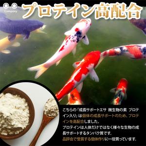 微生物の素 メダカ 稚魚 針子 成長サポート ...の詳細画像3