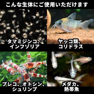 ミジンコの餌 クロレラ配合 グリーンウォーター...の詳細画像5